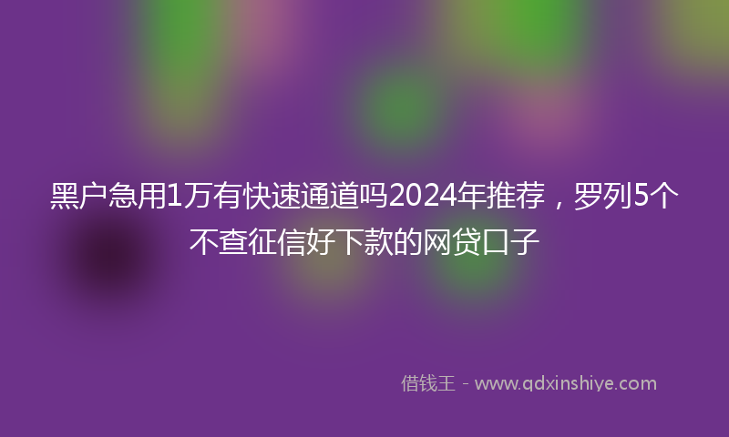 黑户急用1万有快速通道吗2024年推荐，罗列5个不查征信好下款的网贷口子