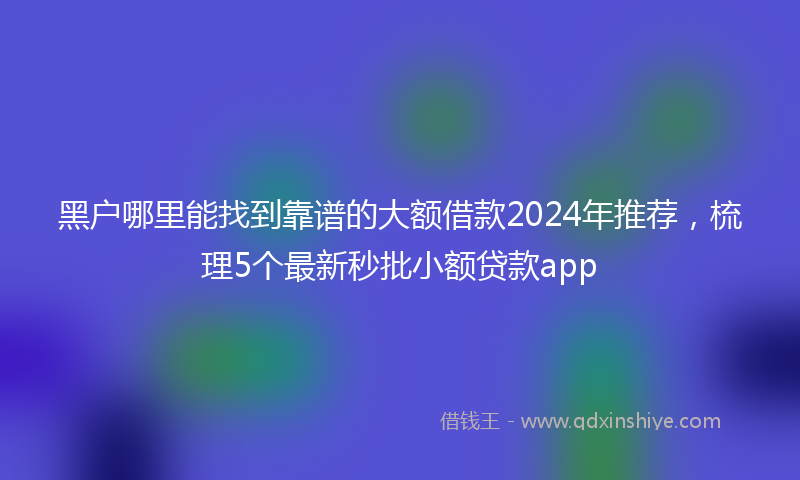 黑户哪里能找到靠谱的大额借款2024年推荐，梳理5个最新秒批小额贷款app