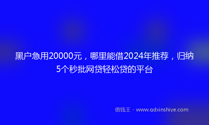 黑户急用20000元，哪里能借2024年推荐，归纳5个秒批网贷轻松贷的平台