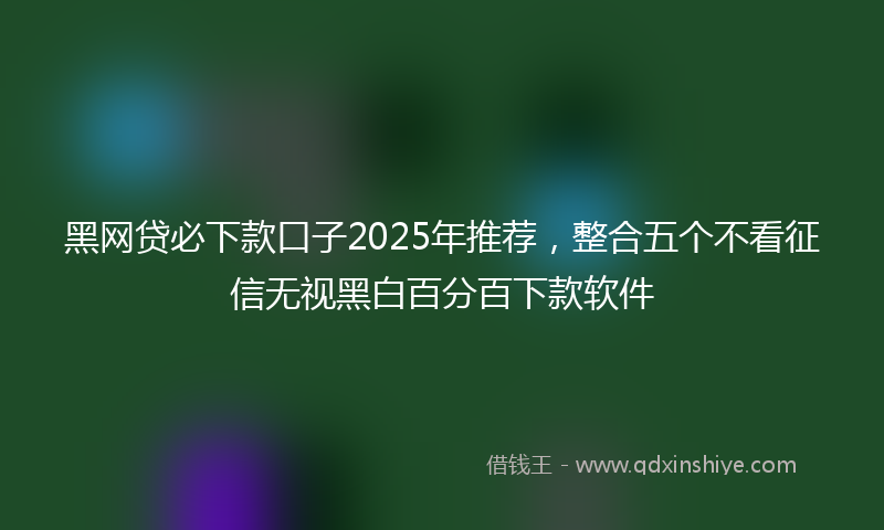 黑网贷必下款口子2025年推荐，整合五个不看征信无视黑白百分百下款软件