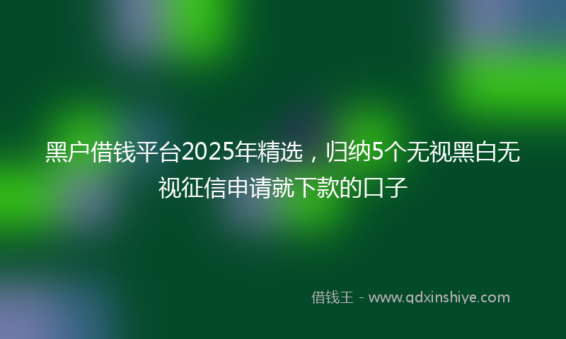 黑户借钱平台2025年精选，归纳5个无视黑白无视征信申请就下款的口子