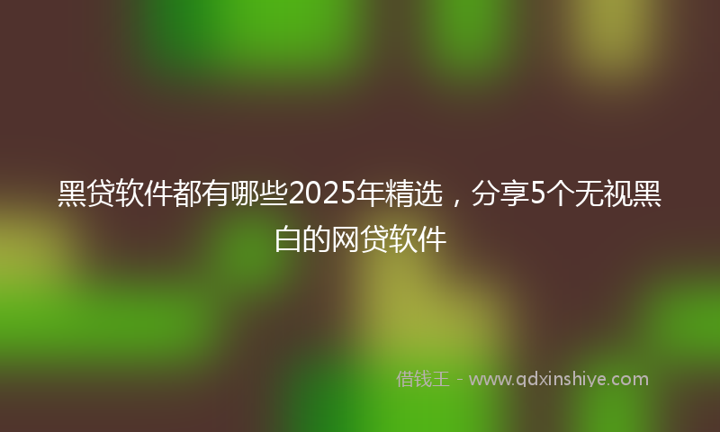 黑贷软件都有哪些2025年精选，分享5个无视黑白的网贷软件