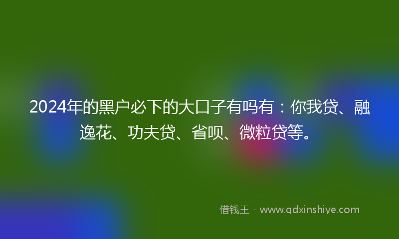2024年的黑户必下的大口子有吗有：你我贷、融逸花、功夫贷、省呗、微粒贷等。