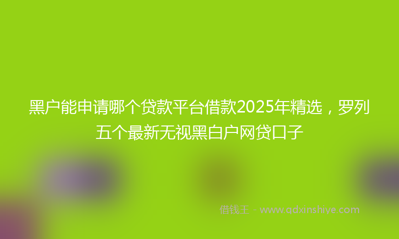 黑户能申请哪个贷款平台借款2025年精选，罗列五个最新无视黑白户网贷口子