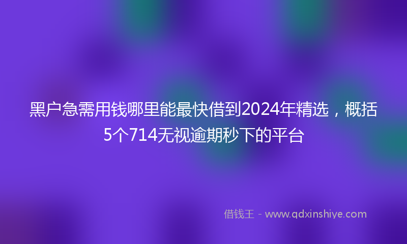 黑户急需用钱哪里能最快借到2024年精选，概括5个714无视逾期秒下的平台