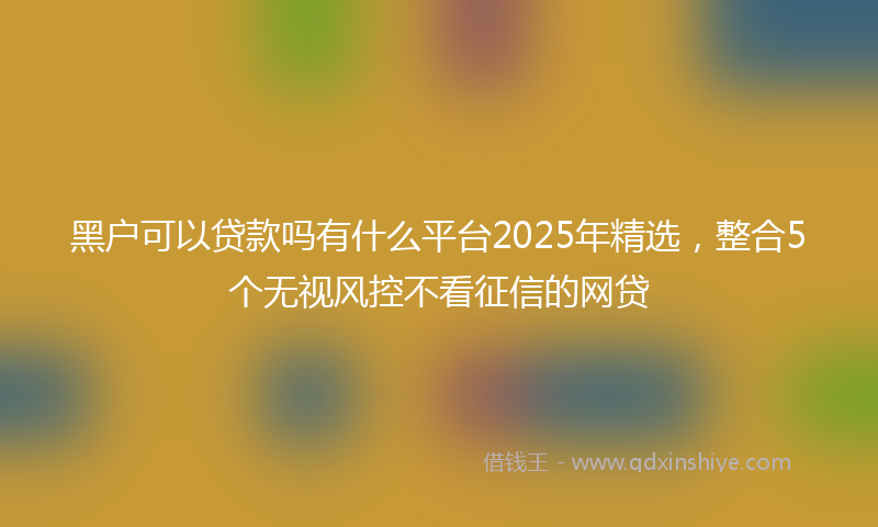 黑户可以贷款吗有什么平台2025年精选，整合5个无视风控不看征信的网贷