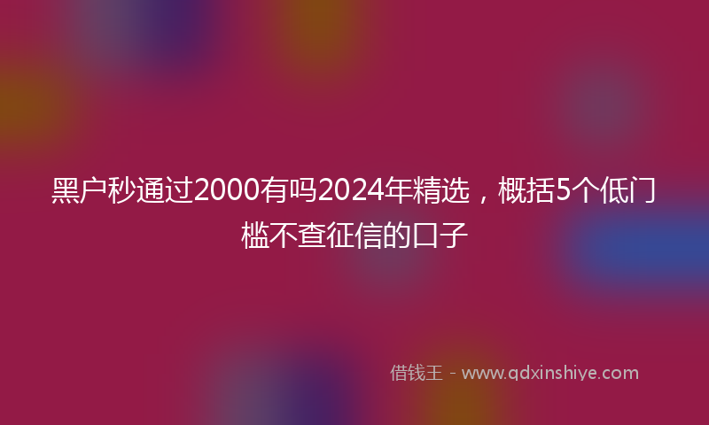 黑户秒通过2000有吗2024年精选，概括5个低门槛不查征信的口子