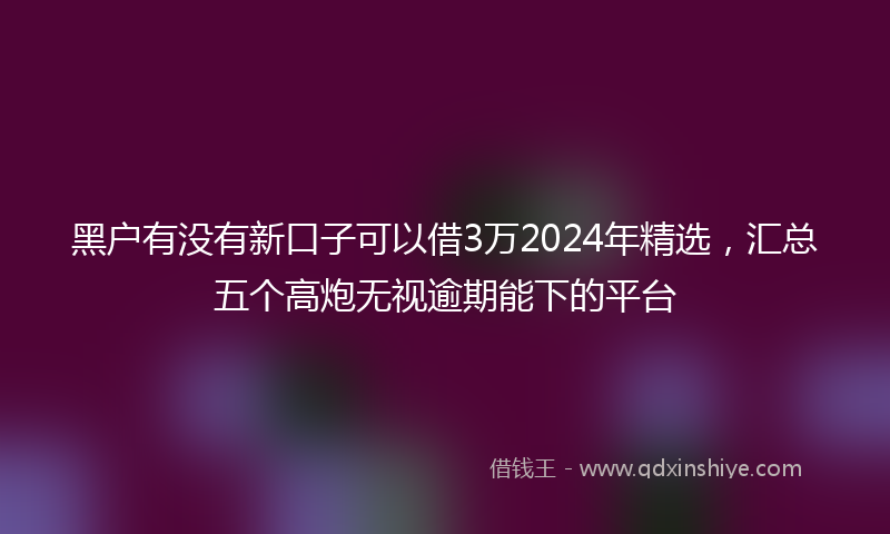 黑户有没有新口子可以借3万2024年精选，汇总五个高炮无视逾期能下的平台