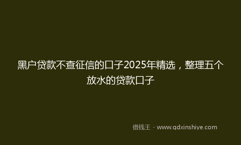黑户贷款不查征信的口子2025年精选，整理五个放水的贷款口子