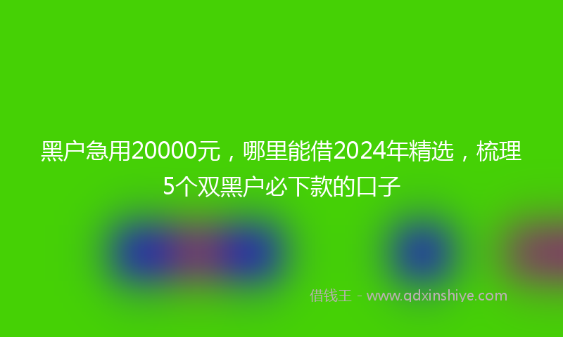 黑户急用20000元，哪里能借2024年精选，梳理5个双黑户必下款的口子