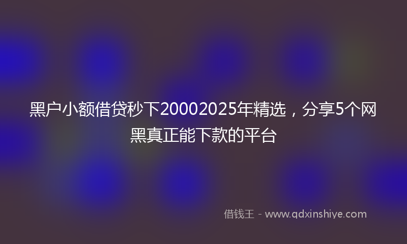 黑户小额借贷秒下20002025年精选，分享5个网黑真正能下款的平台