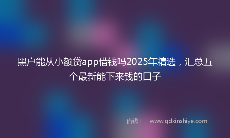 黑户能从小额贷app借钱吗2025年精选，汇总五个最新能下来钱的口子
