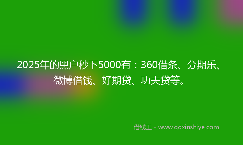 2025年的黑户秒下5000有：360借条、分期乐、微博借钱、好期贷、功夫贷等。
