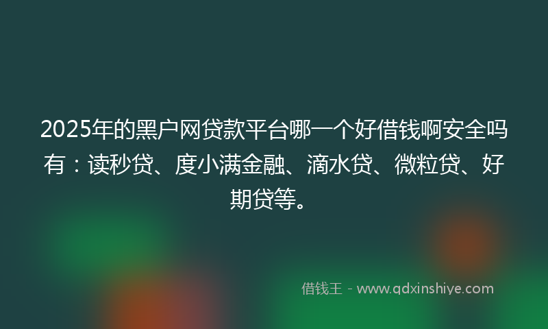 2025年的黑户网贷款平台哪一个好借钱啊安全吗有：读秒贷、度小满金融、滴水贷、微粒贷、好期贷等。