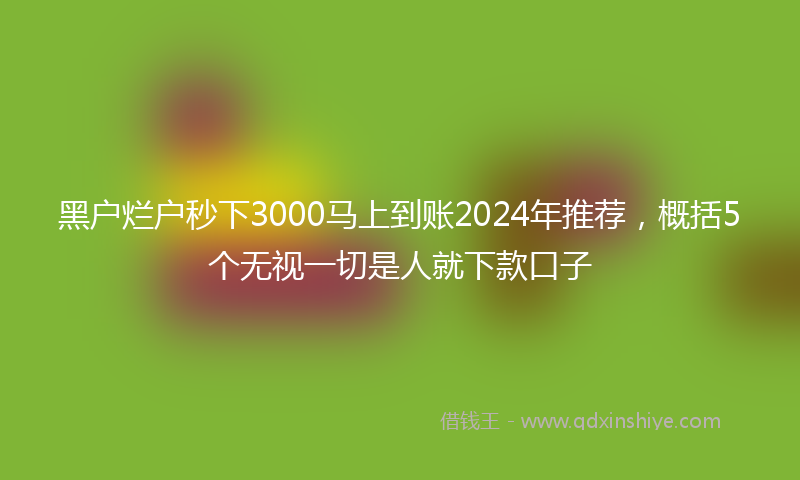 黑户烂户秒下3000马上到账2024年推荐，概括5个无视一切是人就下款口子