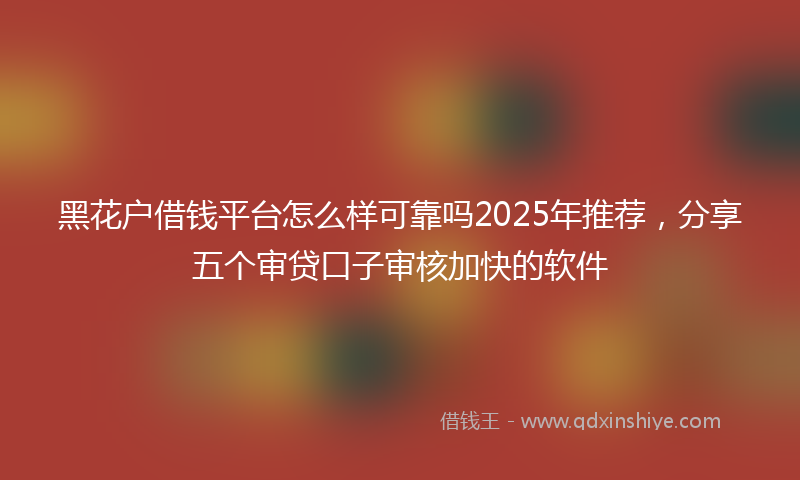 黑花户借钱平台怎么样可靠吗2025年推荐，分享五个审贷口子审核加快的软件