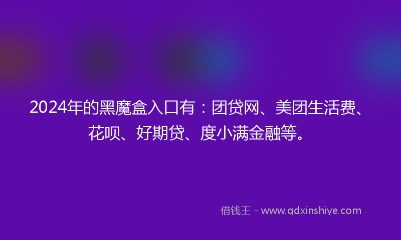 2024年的黑魔盒入口有：团贷网、美团生活费、花呗、好期贷、度小满金融等。