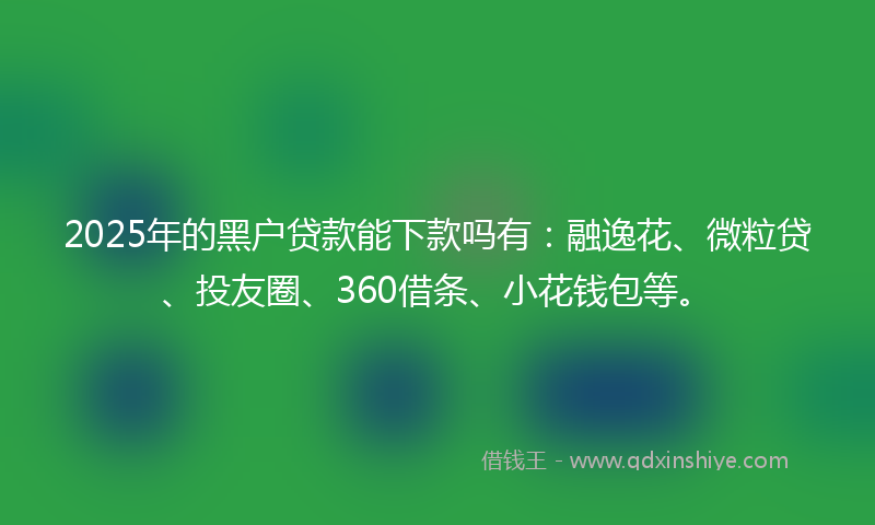 2025年的黑户贷款能下款吗有：融逸花、微粒贷、投友圈、360借条、小花钱包等。