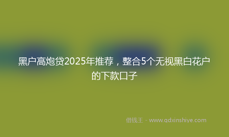 黑户高炮贷2025年推荐，整合5个无视黑白花户的下款口子
