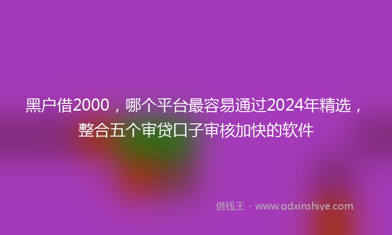 黑户借2000，哪个平台最容易通过2024年精选，整合五个审贷口子审核加快的软件