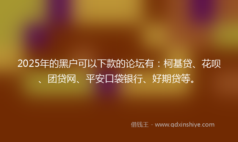 2025年的黑户可以下款的论坛有：柯基贷、花呗、团贷网、平安口袋银行、好期贷等。