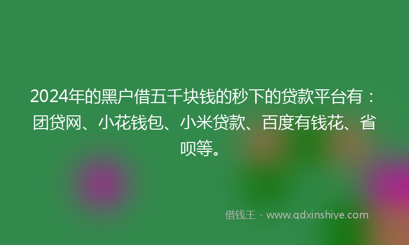 2024年的黑户借五千块钱的秒下的贷款平台有：团贷网、小花钱包、小米贷款、百度有钱花、省呗等。