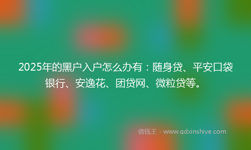 2025年的黑户入户怎么办有：随身贷、平安口袋银行、安逸花、团贷网、微粒贷等。