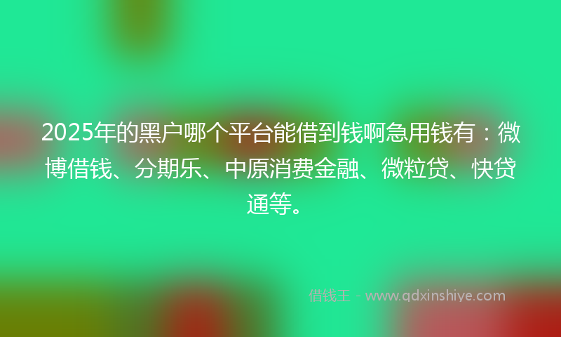 2025年的黑户哪个平台能借到钱啊急用钱有：微博借钱、分期乐、中原消费金融、微粒贷、快贷通等。
