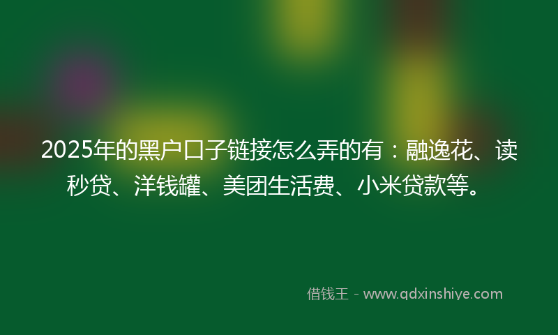 2025年的黑户口子链接怎么弄的有：融逸花、读秒贷、洋钱罐、美团生活费、小米贷款等。