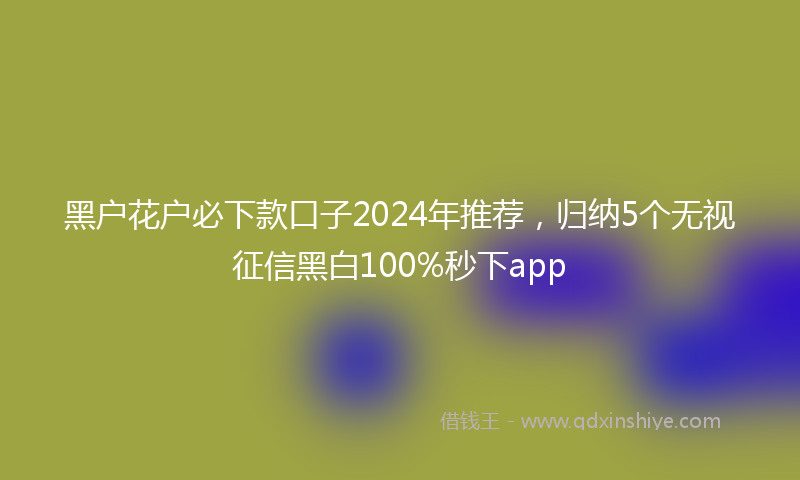 黑户花户必下款口子2024年推荐，归纳5个无视征信黑白100%秒下app