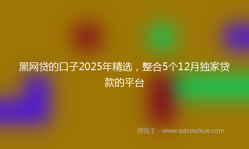 黑网贷的口子2025年精选，整合5个12月独家贷款的平台