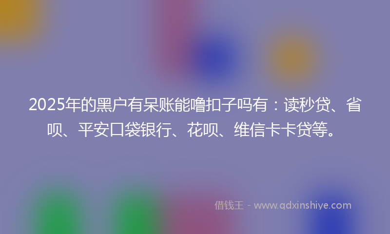 2025年的黑户有呆账能噜扣子吗有：读秒贷、省呗、平安口袋银行、花呗、维信卡卡贷等。