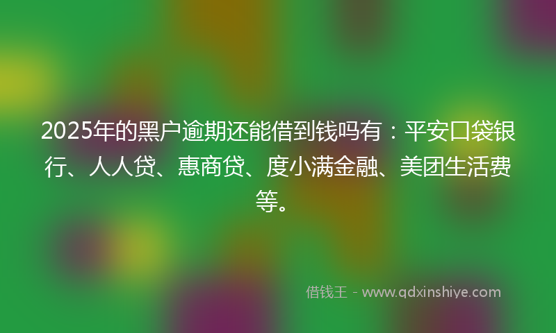 2025年的黑户逾期还能借到钱吗有：平安口袋银行、人人贷、惠商贷、度小满金融、美团生活费等。