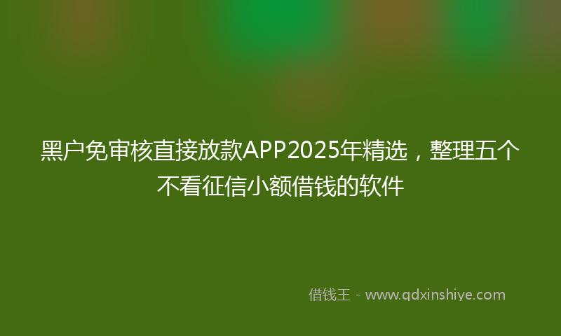 黑户免审核直接放款APP2025年精选，整理五个不看征信小额借钱的软件