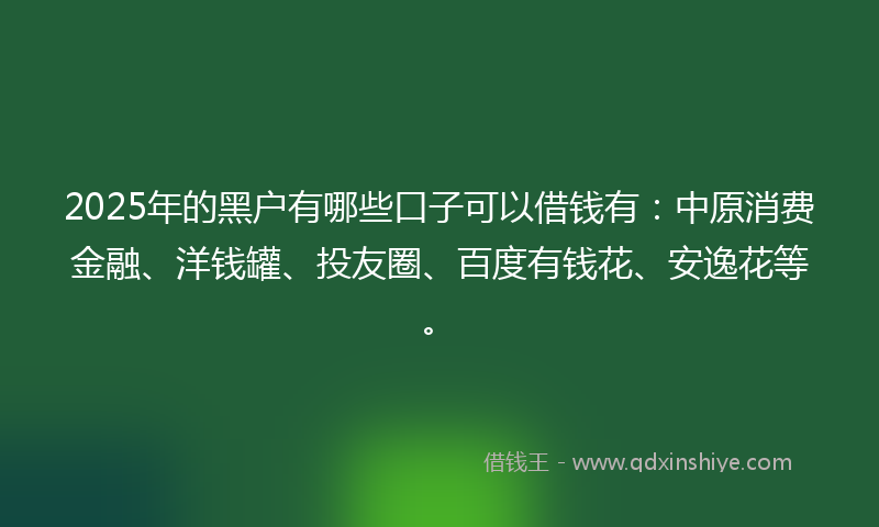 2025年的黑户有哪些口子可以借钱有：中原消费金融、洋钱罐、投友圈、百度有钱花、安逸花等。