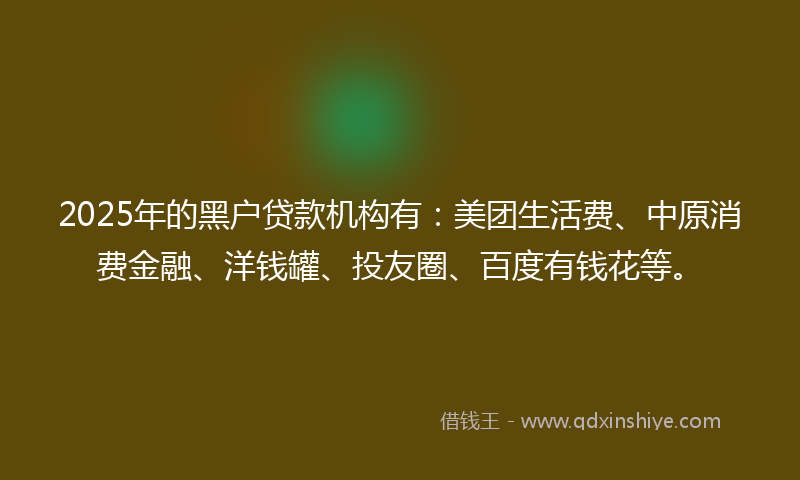 2025年的黑户贷款机构有：美团生活费、中原消费金融、洋钱罐、投友圈、百度有钱花等。