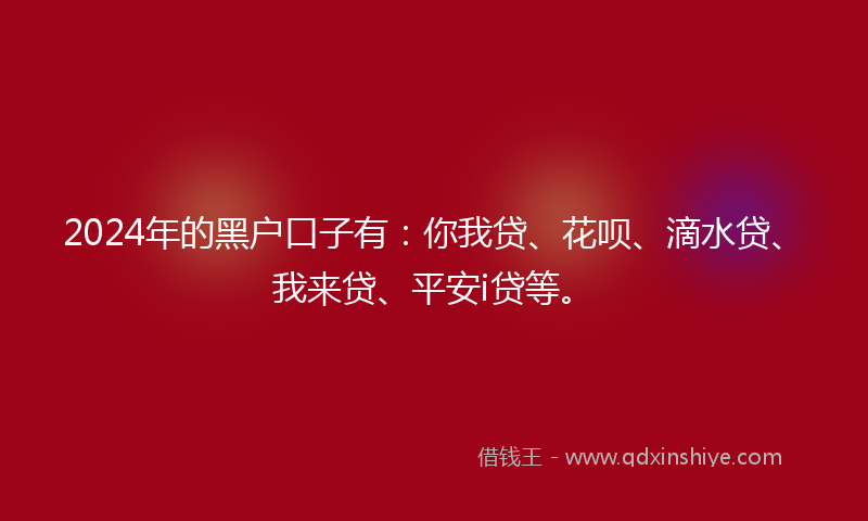 2024年的黑户口子有：你我贷、花呗、滴水贷、我来贷、平安i贷等。