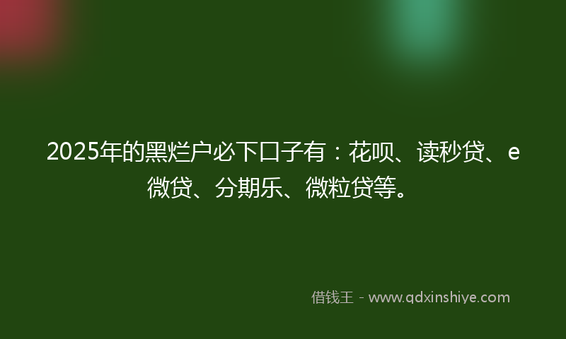 2025年的黑烂户必下口子有：花呗、读秒贷、e微贷、分期乐、微粒贷等。