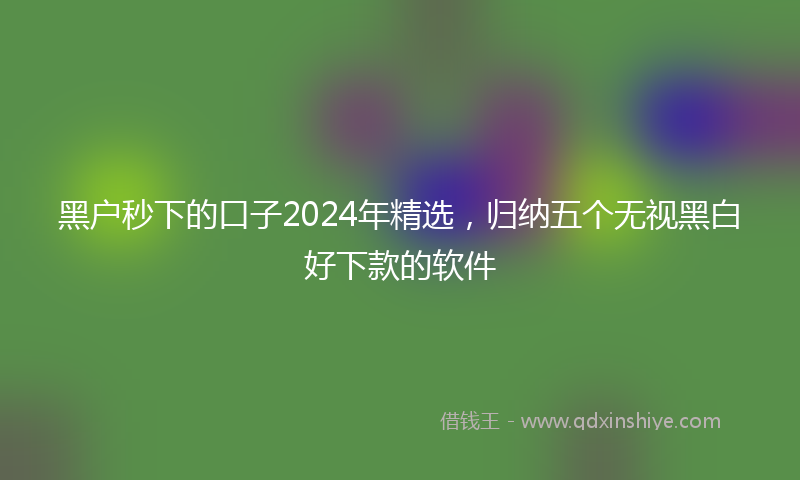 黑户秒下的口子2024年精选，归纳五个无视黑白好下款的软件