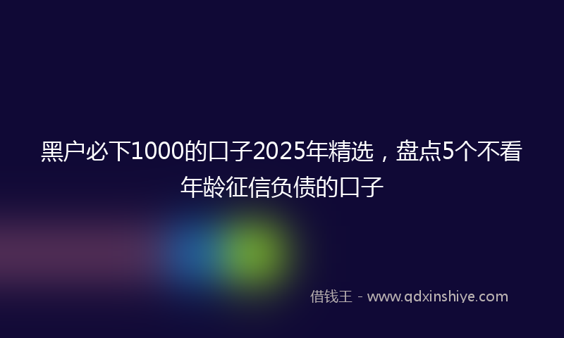 黑户必下1000的口子2025年精选，盘点5个不看年龄征信负债的口子