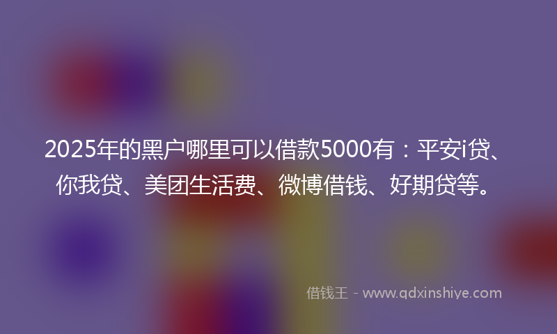 2025年的黑户哪里可以借款5000有：平安i贷、你我贷、美团生活费、微博借钱、好期贷等。