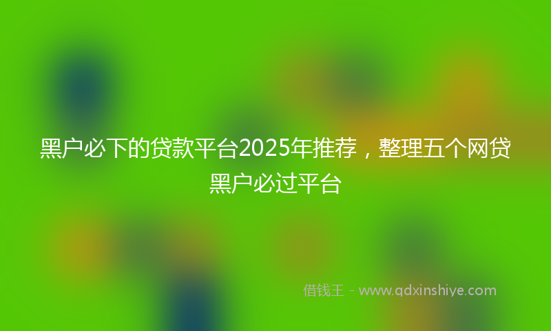 黑户必下的贷款平台2025年推荐，整理五个网贷黑户必过平台