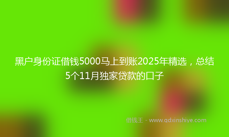 黑户身份证借钱5000马上到账2025年精选，总结5个11月独家贷款的口子