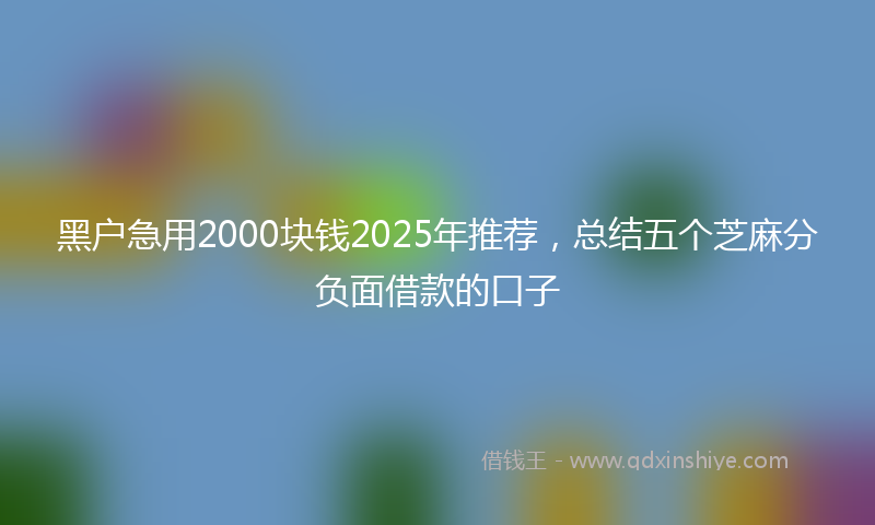 黑户急用2000块钱2025年推荐，总结五个芝麻分负面借款的口子