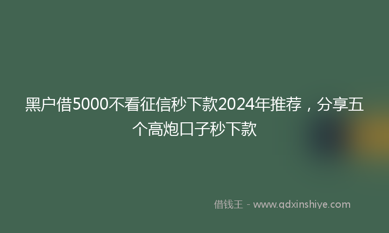 黑户借5000不看征信秒下款2024年推荐，分享五个高炮口子秒下款