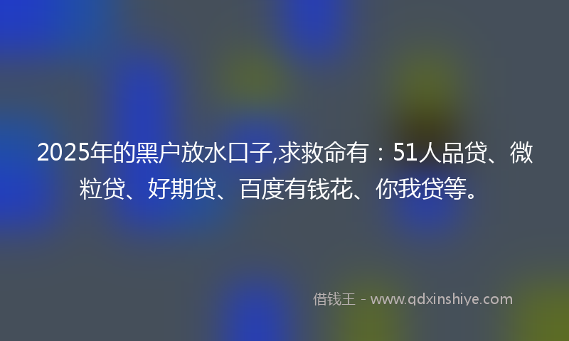 2025年的黑户放水口子,求救命有：51人品贷、微粒贷、好期贷、百度有钱花、你我贷等。