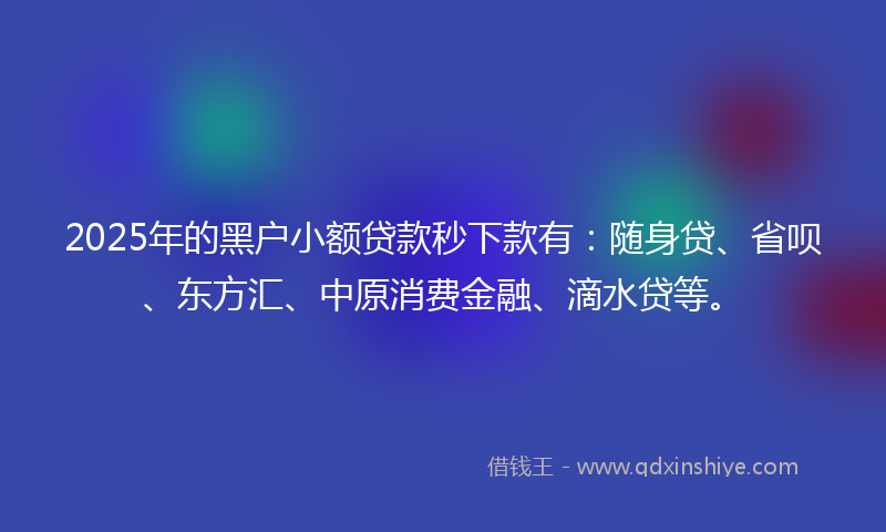 2025年的黑户小额贷款秒下款有：随身贷、省呗、东方汇、中原消费金融、滴水贷等。