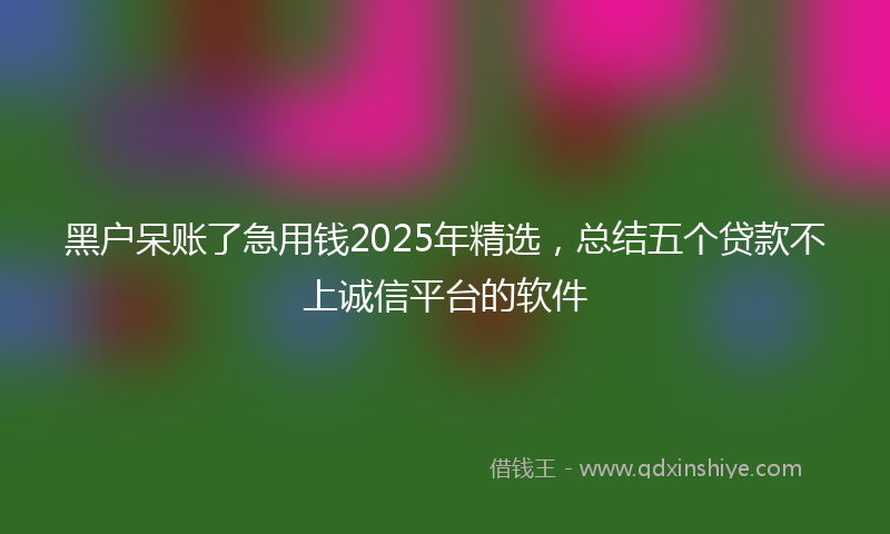 黑户呆账了急用钱2025年精选，总结五个贷款不上诚信平台的软件