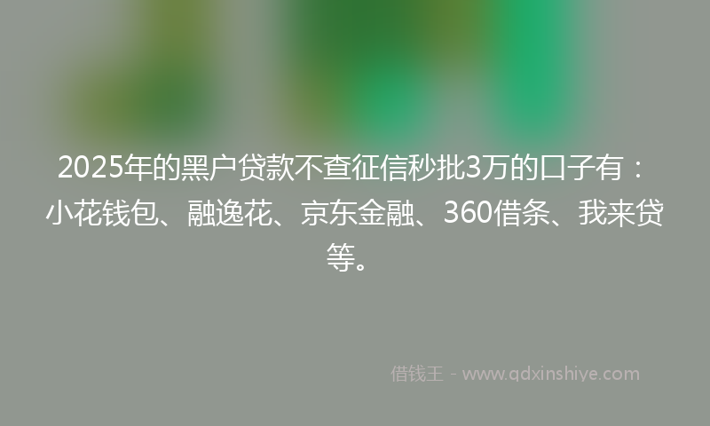 2025年的黑户贷款不查征信秒批3万的口子有：小花钱包、融逸花、京东金融、360借条、我来贷等。