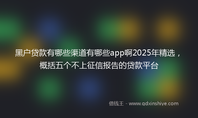 黑户贷款有哪些渠道有哪些app啊2025年精选，概括五个不上征信报告的贷款平台